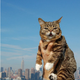Image for article titled A Year in Lil Bub or Why We Love This Cat's Tiny Weird Face
